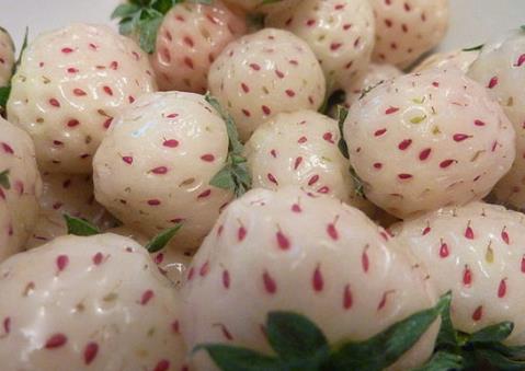 菠萝莓怎么吃?吃菠萝莓的食用禁忌