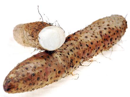 如何选购山药?山药的挑选方法