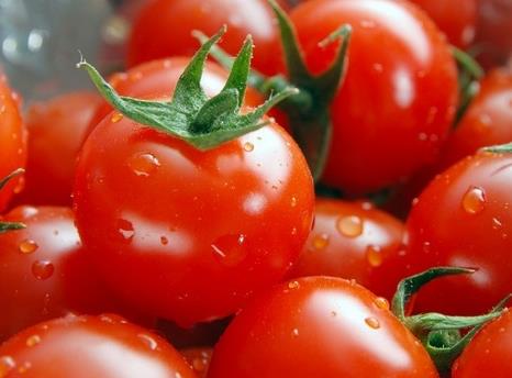 圣女果是转基因吗?圣女果的营养价值、功效与作用、食用禁忌