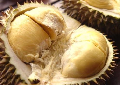 榴莲怎么存放?榴莲的保存方法