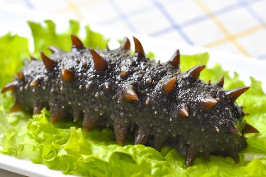 怎样识别海参真假?如何辨别海参的好坏