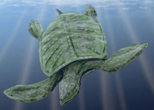 古巨龟2.jpg