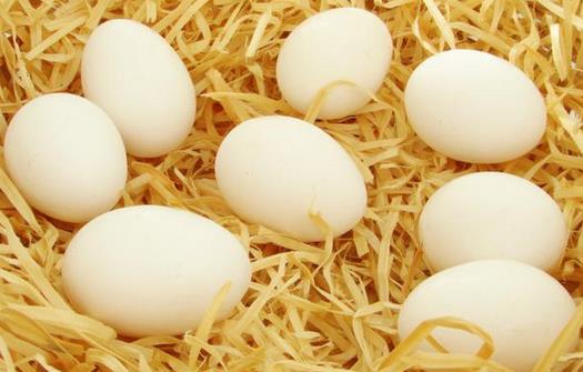 感冒不宜吃哪些食物?感冒患者饮食禁忌