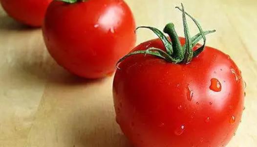 世界上最大的西红柿 美国男子培育出近4公斤重番茄