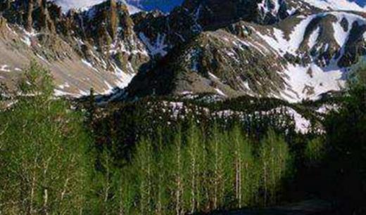 第一大沉积盆地 南美大盆地60万平方公里 矿产丰富