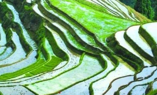 中国最大的丘陵 东南丘陵包含十多个山岭 红壤丰富地层复杂