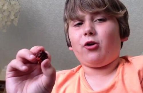 世界上最辣的辣椒 卡罗莱纳死神辣椒舔一口可能休克