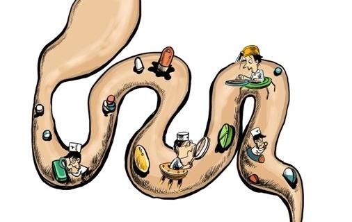 男性进补固然重要但勿忘排毒