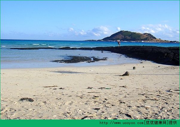 夏天可以去哪里玩?夏天可以去哪里旅游?(5)