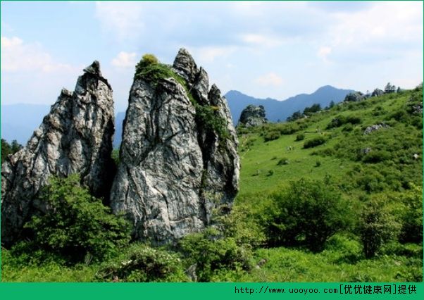 夏天旅游去哪好?夏天适合去哪里旅行?(1)