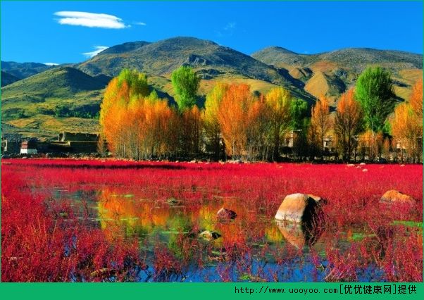 夏天可以去哪里玩?夏天可以去哪里旅游?(3)