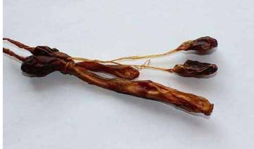 16511387379550.png QQ图片20220428170820.png