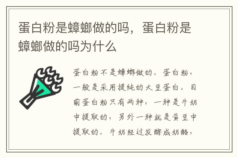蛋白粉是蟑螂做的吗，蛋白粉是蟑螂做的吗为什么