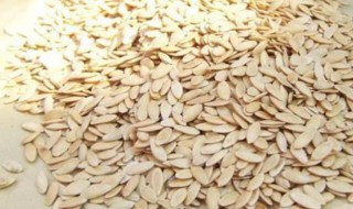 黄瓜籽粉的功效与作用及食用方法 黄瓜籽粉的功效与作用及食用方法有哪些