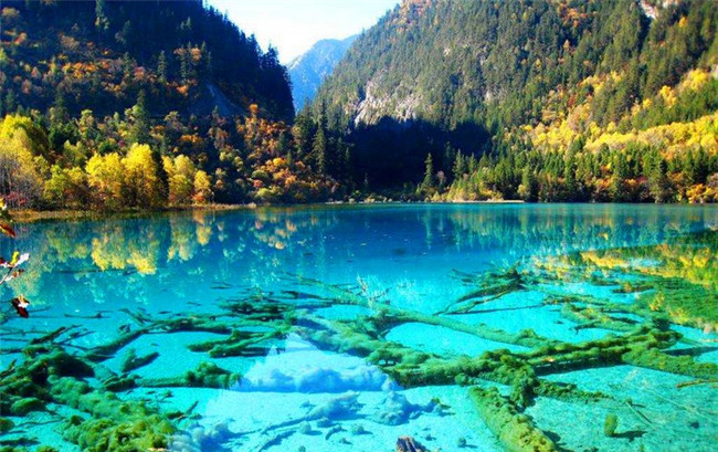 中国九寨沟国家公园水晶绿松石湖