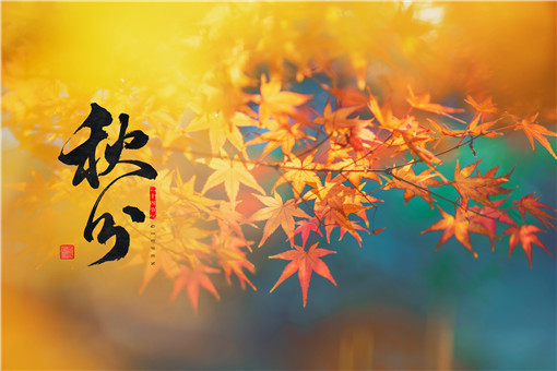 秋分-摄图网