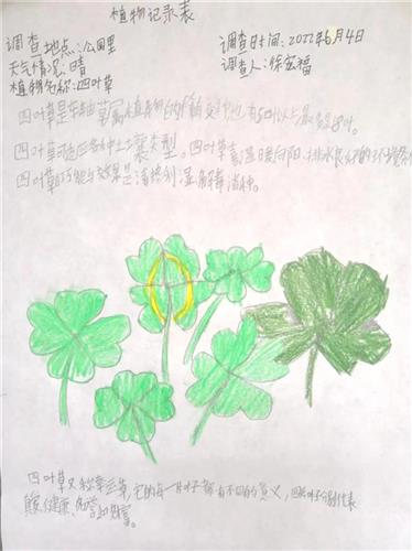 WDCM上传图片