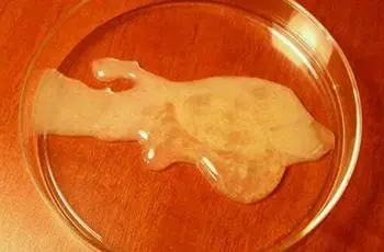 男性长期禁欲,精子只生产不排出,会把身体“憋坏”吗?