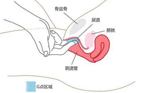 女人a点的具体位置在哪