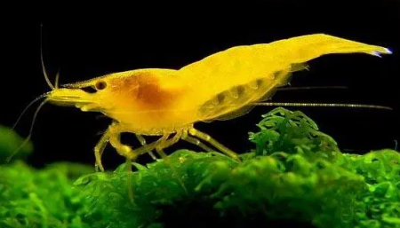 1665712636740027.png 1.png