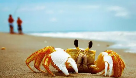 1666753792696706.png image.png