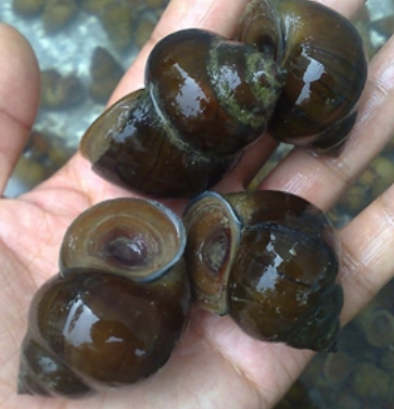 1668666603194729.png QQ截图20221117142924.png