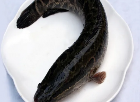 1671755712934656.png QQ截图20221222171151.png