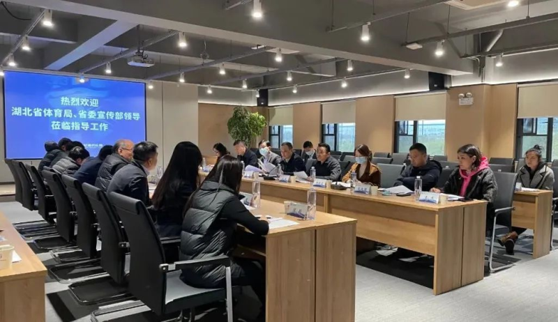 湖北体育新闻 武汉三镇足球队比赛结果