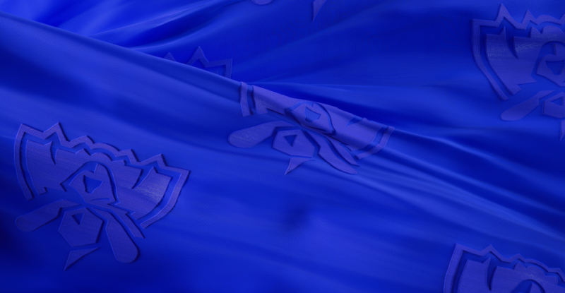 韩国情报局 韩国中央情报部