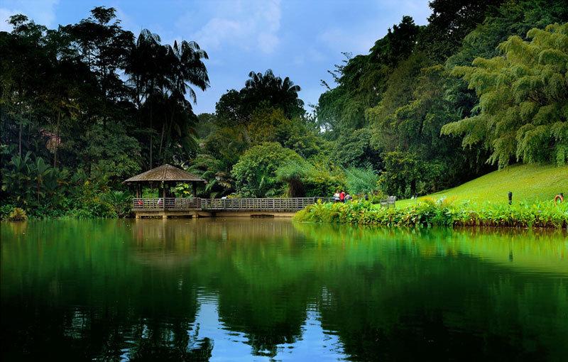 我国与新加坡建交(lssdjt.com) 我国与新加坡建交