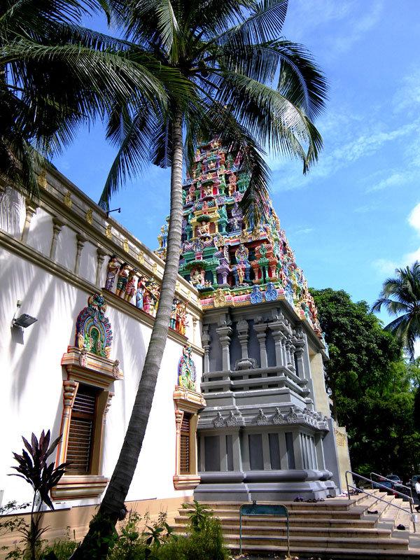 我国与新加坡建交(lssdjt.com) 我国与新加坡建交