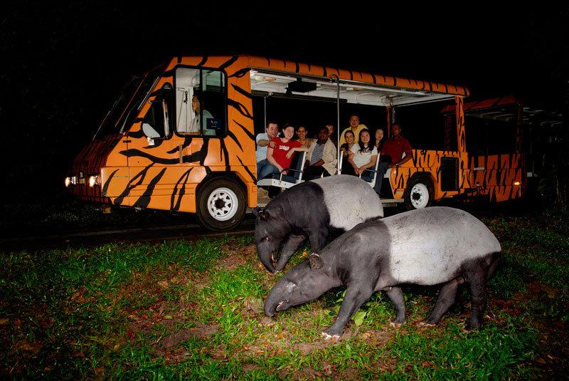 我国与新加坡建交(lssdjt.com) 我国与新加坡建交