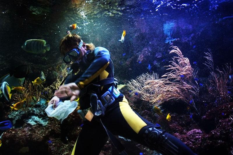 我国与新加坡建交(lssdjt.com) 我国与新加坡建交