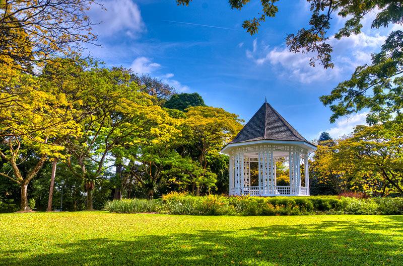 我国与新加坡建交(lssdjt.com) 我国与新加坡建交