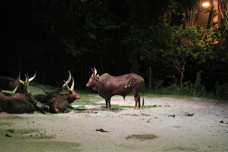 我国与新加坡建交(lssdjt.com) 我国与新加坡建交