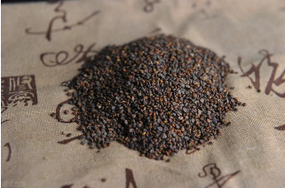 沙苑子怎么泡水喝补肾壮阳效果好 沙苑子怎么泡水喝补肾壮阳效果好