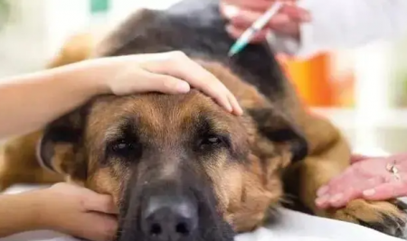 1665648921339519.png 1.png