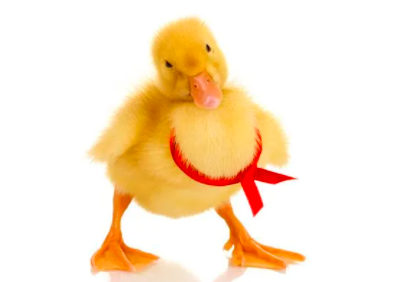 1665669898685132.png image.png