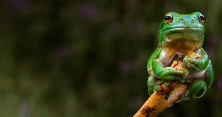 1666752502237979.png image.png