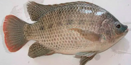 1667777328697921.png image.png