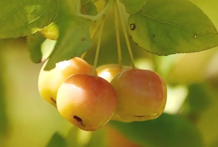 1668229113346791.webp 811ee7e79e8d2b8ca90c9b86234f356d_u=2577254493,2052783337&fm=253&fmt=auto&app=138&f=JPEG_w=741&h=500.webp