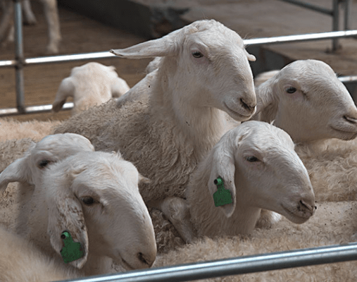 1668838067682944.png image.png