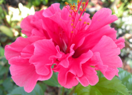 1669082126472784.png image.png