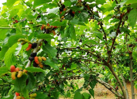 1669170721610722.png image.png