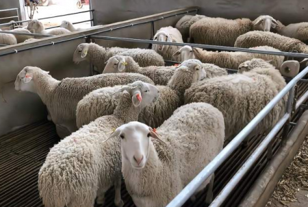 1669173088158795.png QQ截图20221123111155.png