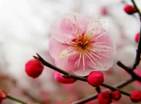 1669444108824038.png image.png