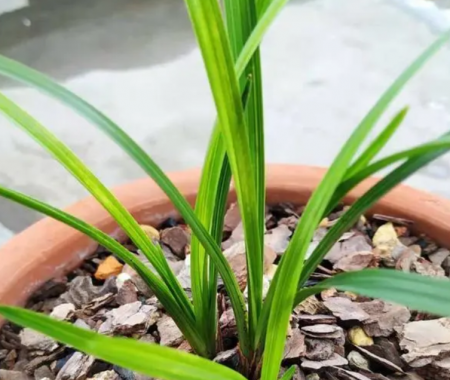 1669891942586299.png 微信截图_20221201184817.png